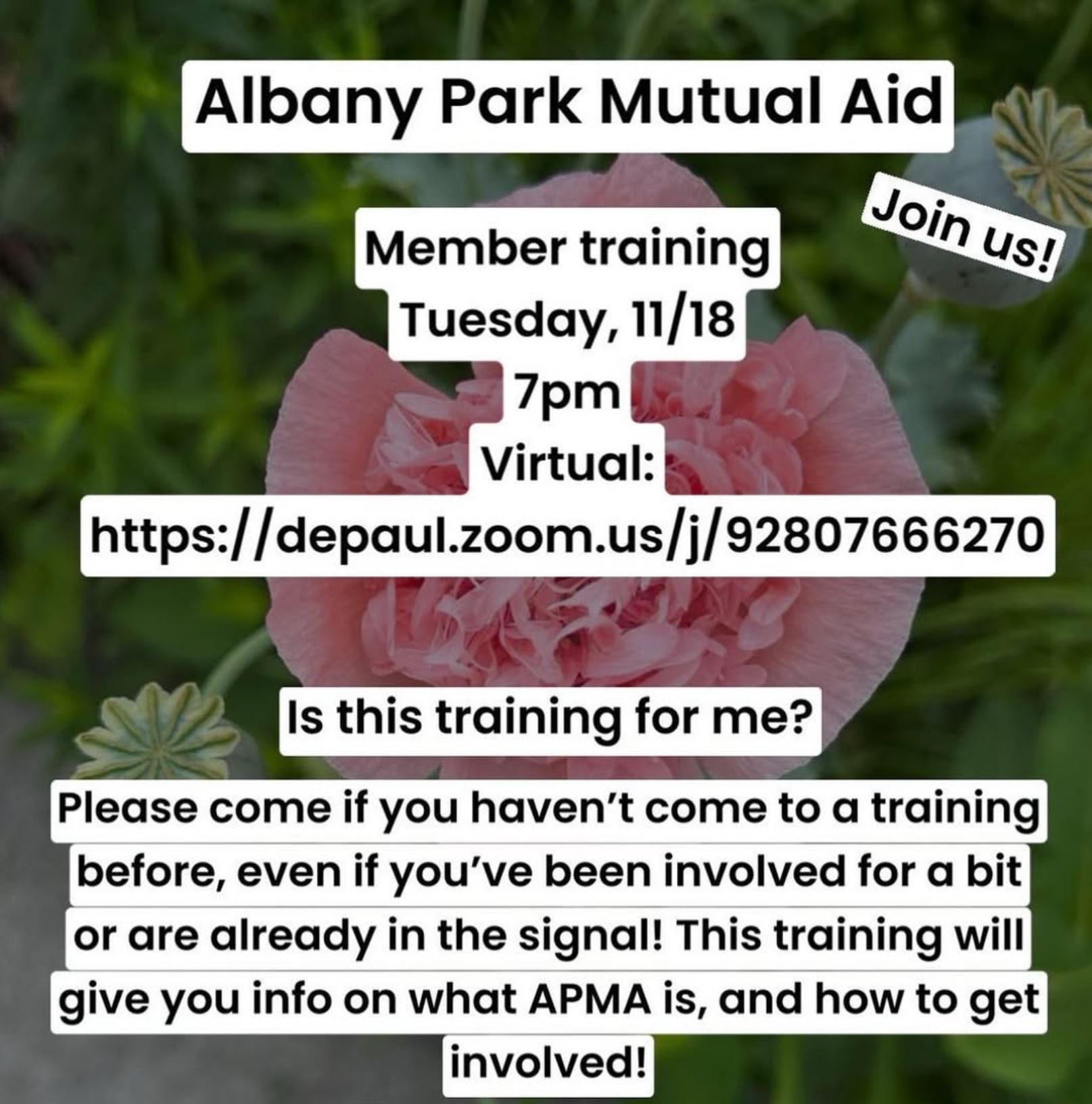Albany Park Mutual Aid Member Training