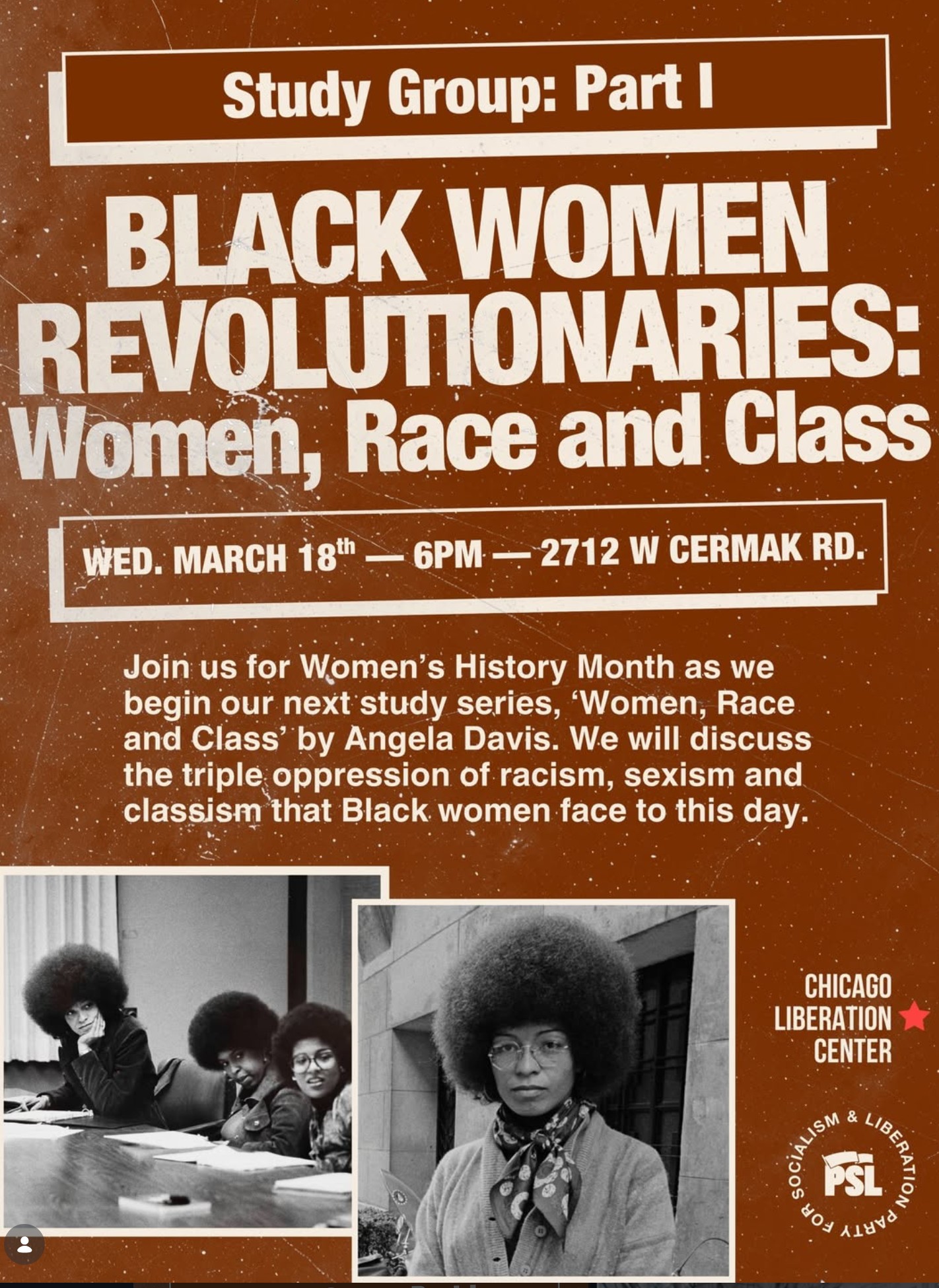 Black Women Revolutionaries - Women, Race & Class