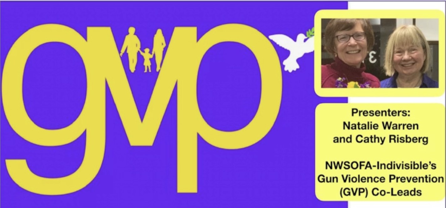 Stop Gun Violence Together, From Illinois to the Nation