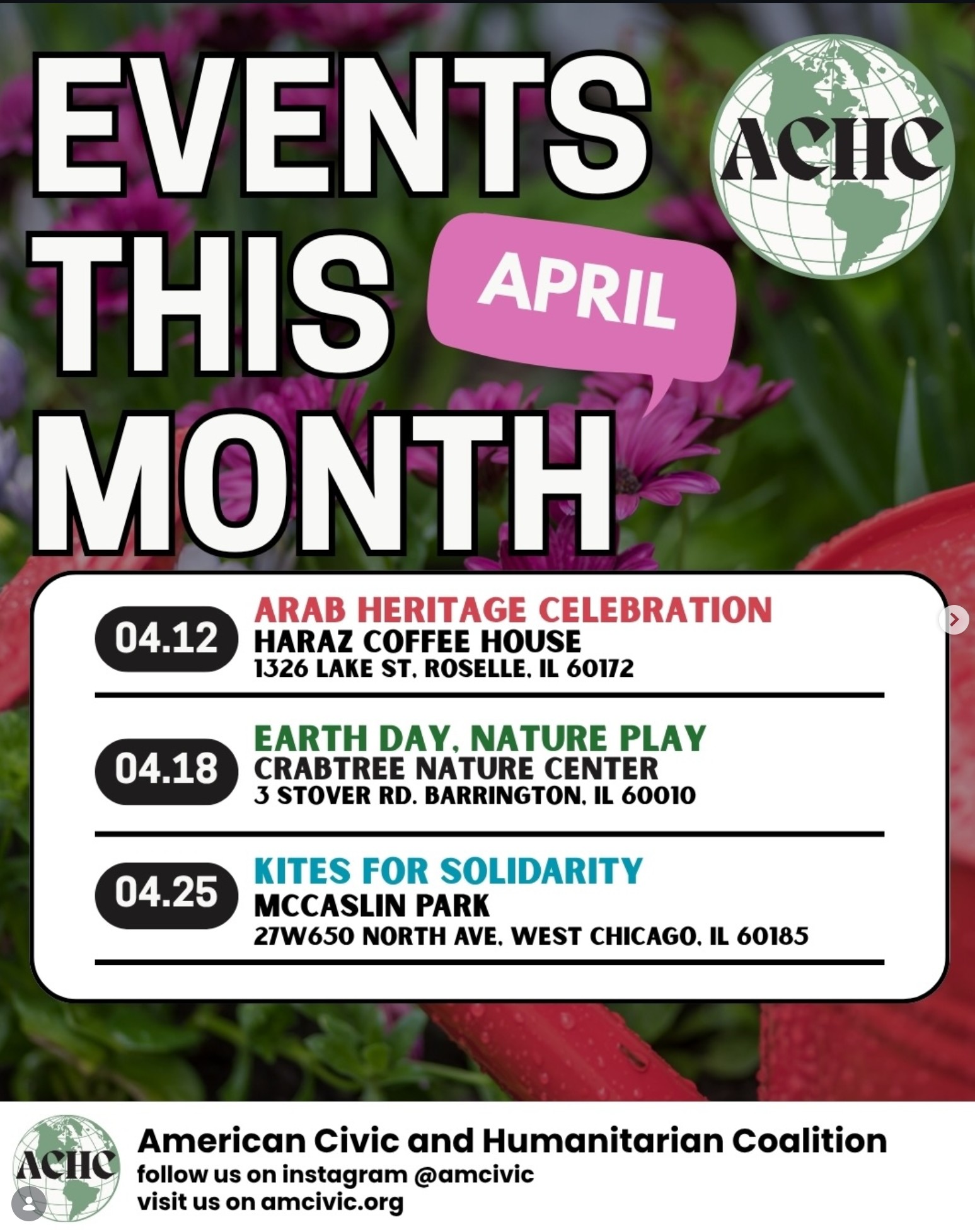 Kites for Solidarity