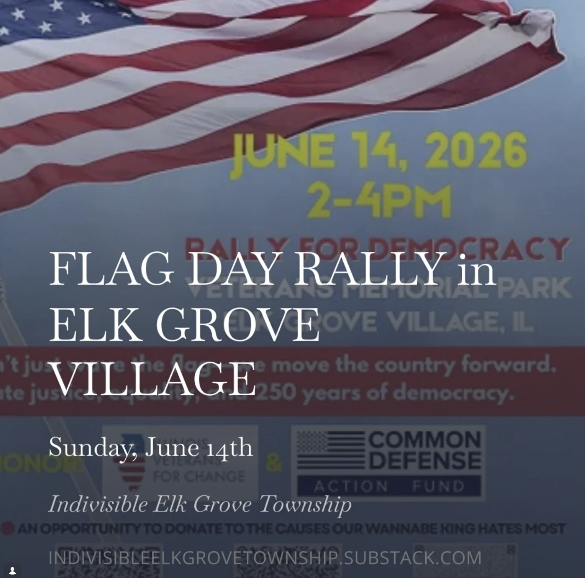 Flag Day Reclaim Our Democracy
