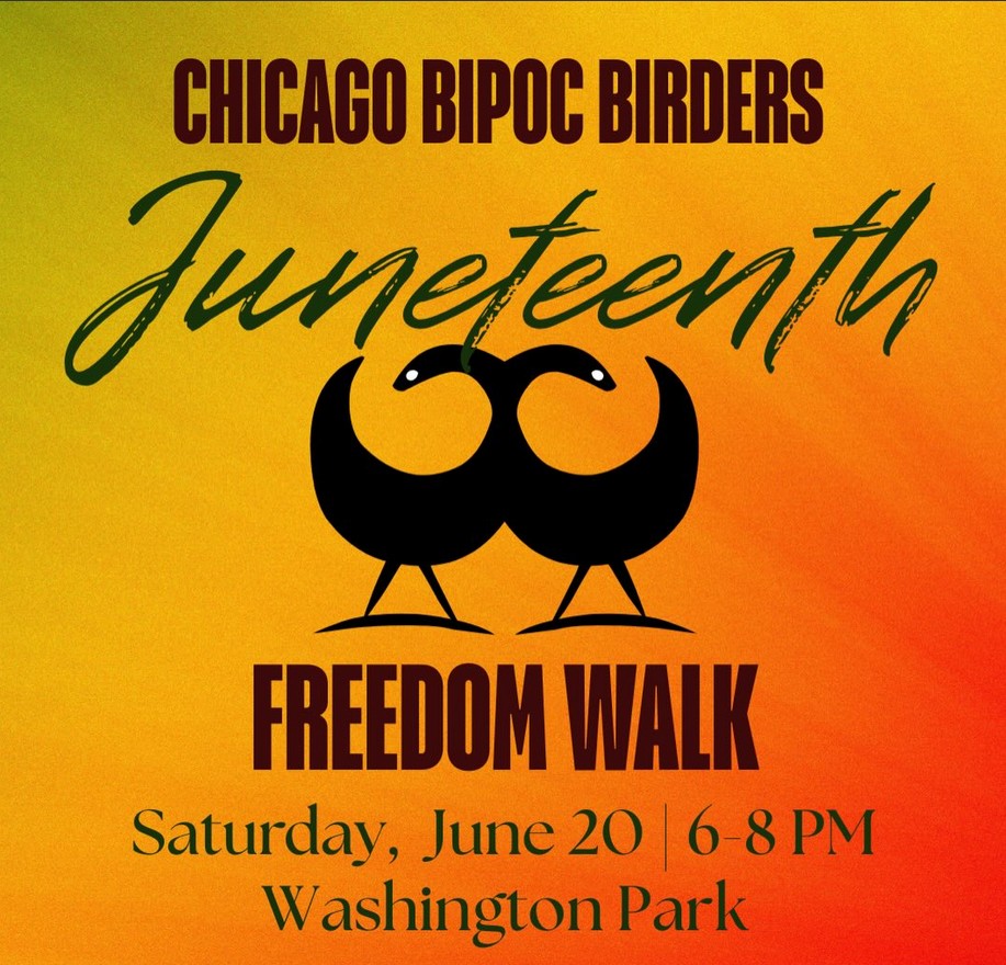 Chicago BIPOC Bird-Watchers Juneteenth Freedom Walk
