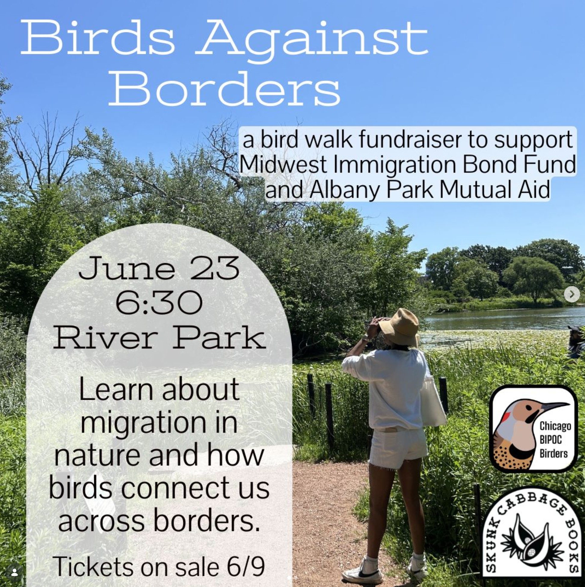 Birds Against Borders