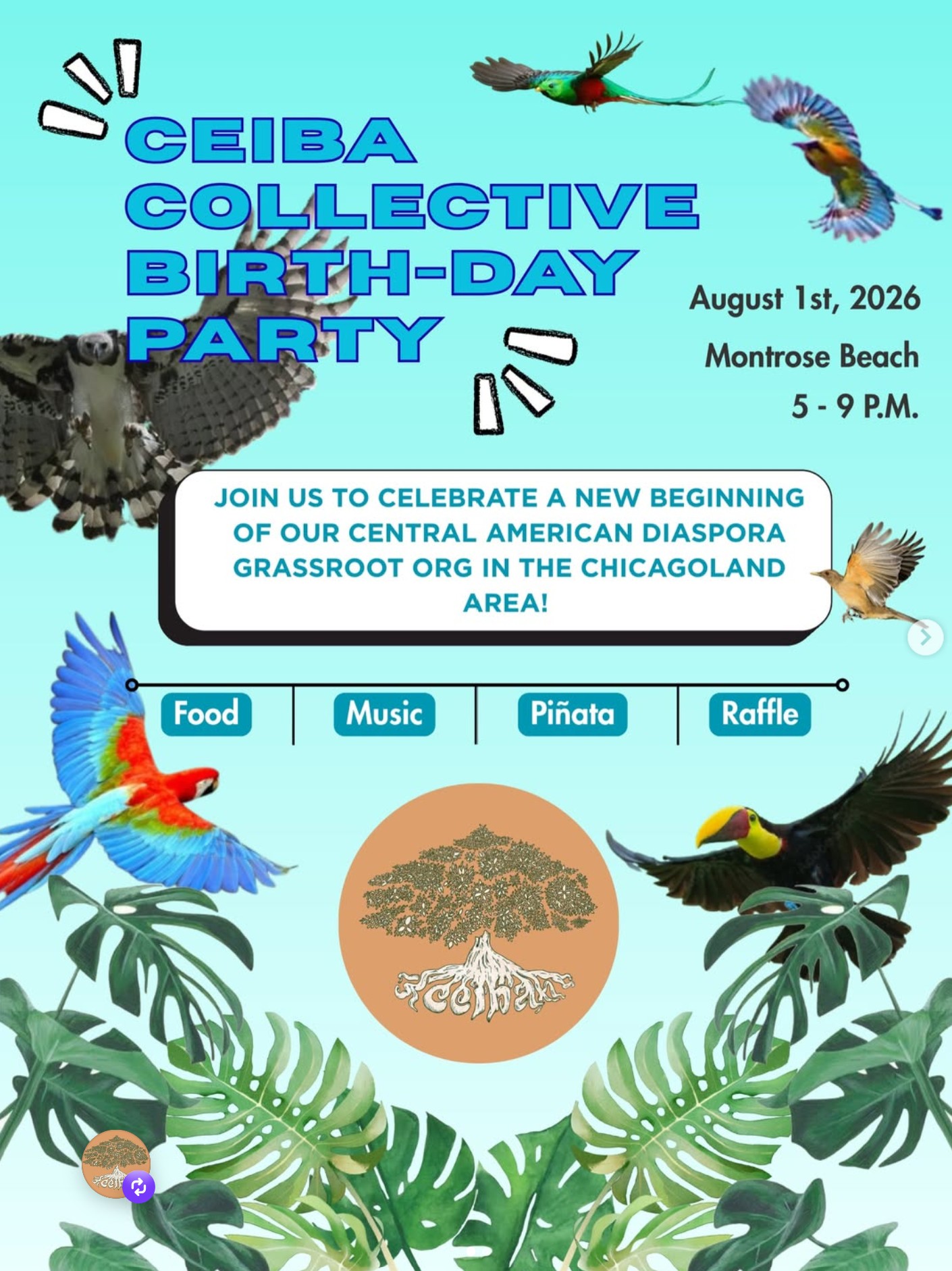 CEIBA Collective Birth-Day Party!