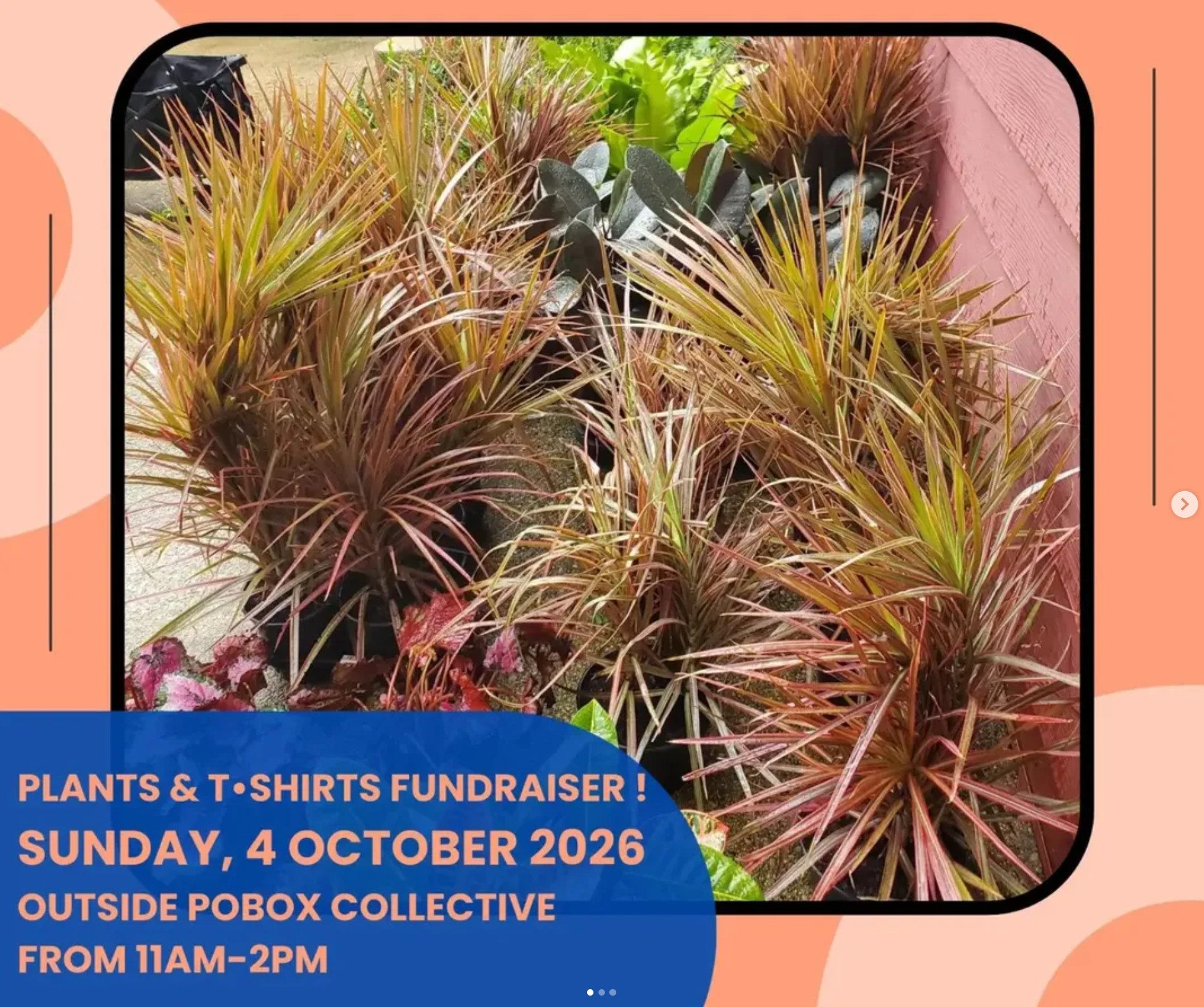 Plants & T-Shirts Fundraiser for Rogers Park Food Not Bombs