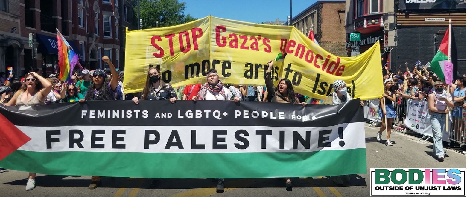 1st DNC Protest: Demand Reproductive Justice / Queer Rights / Stop Israel's Genocide of Gaza