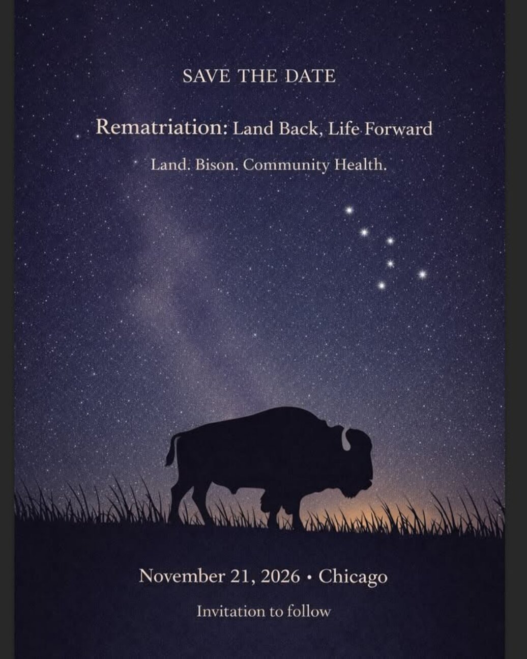 Rematriation: Land Back, Life Forward Land. Bison. Community Health.
