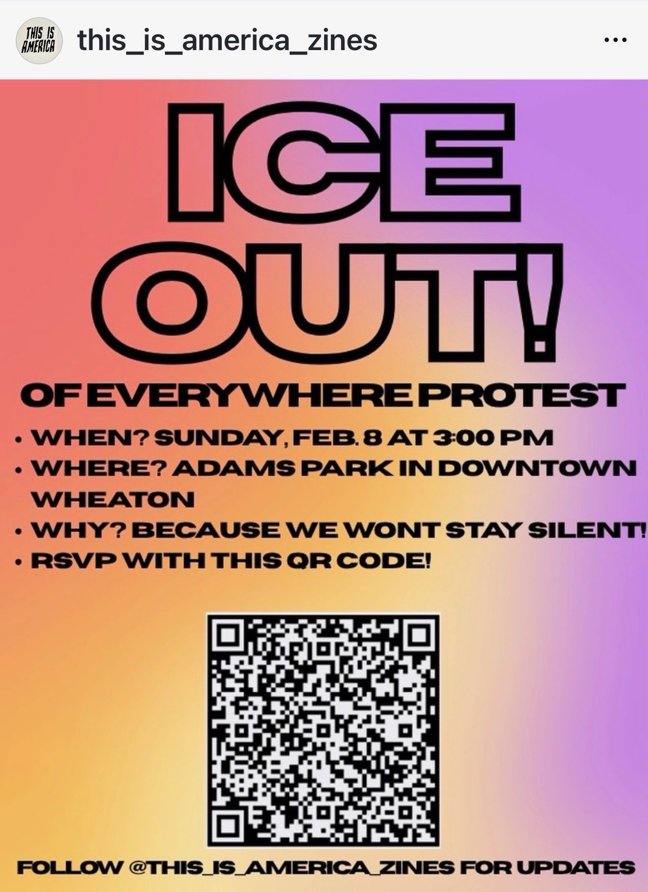 ICE OUT! of Everywhere Protest